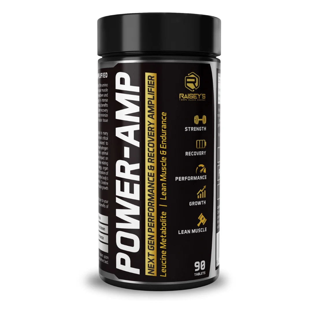 Raiseys POWER-AMP Performance & Recovery Amplifier
