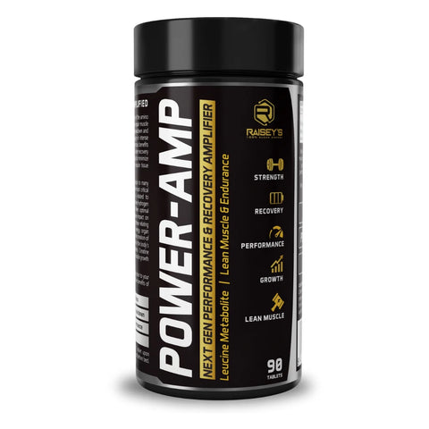POWER-AMP Performance & Recovery Amplifier